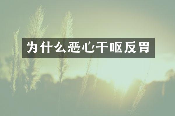 为什么恶心干呕反胃