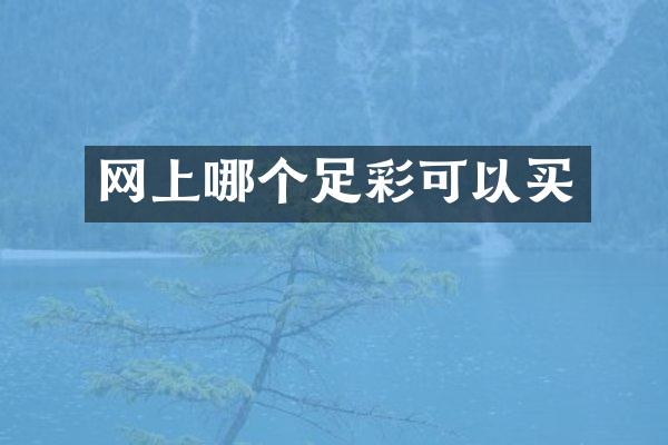 网上哪个可以买