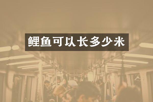 鲤鱼可以长多少米
