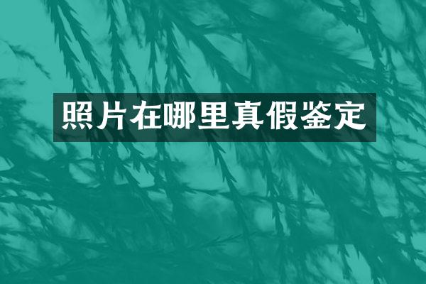 照片在哪里真假鉴定