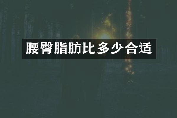 腰臀脂肪比多少合适