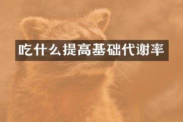 吃什么提高基础代谢率