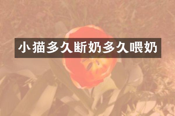 小猫多久断奶多久喂奶