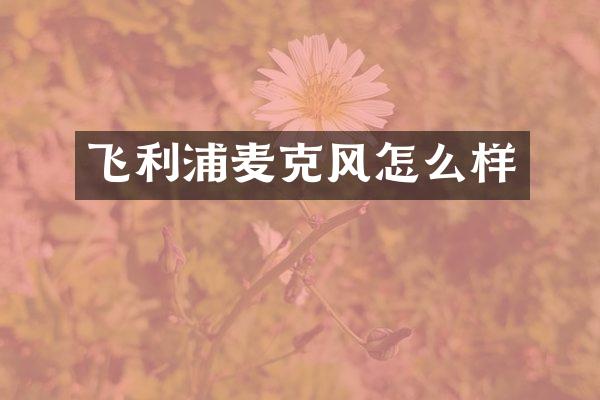 飞利浦麦克风怎么样