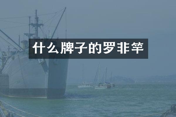 什么牌子的罗非竿
