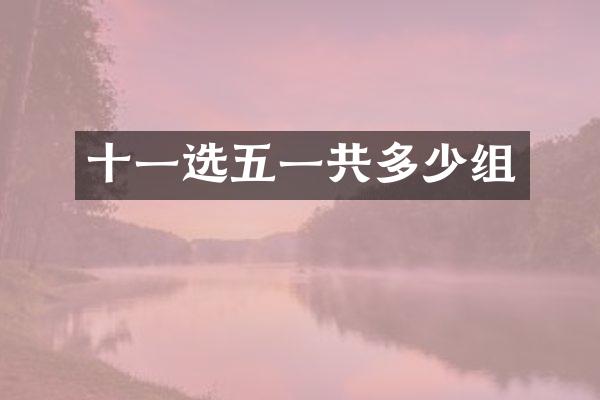 十一选五一共多少组