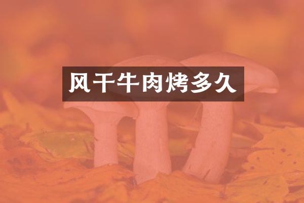 风干牛肉烤多久