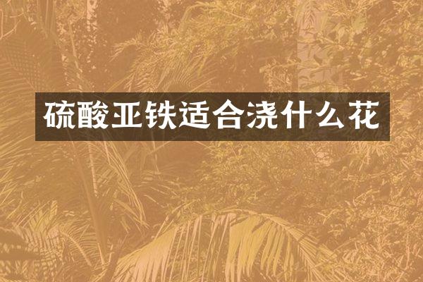 亚铁适合浇什么花