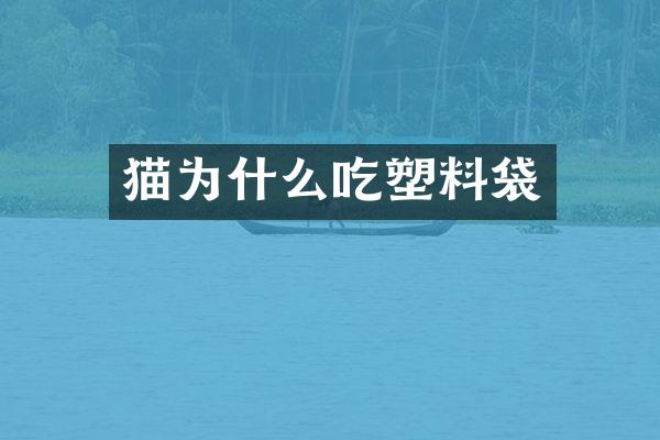 猫为什么吃塑料袋