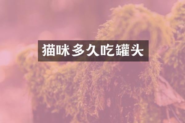 猫咪多久吃罐头