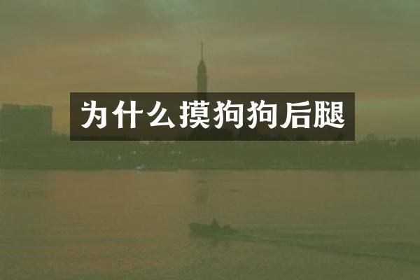 为什么摸狗狗后腿