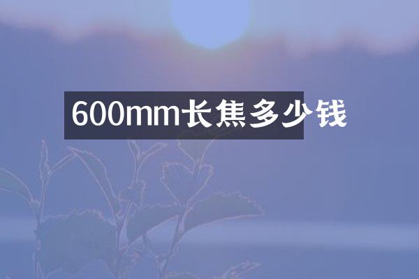 600mm长焦多少钱