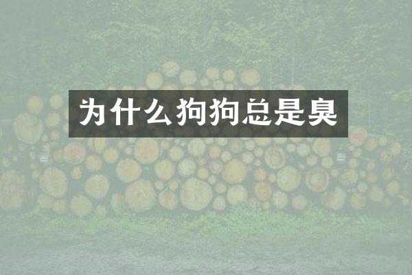 为什么狗狗总是臭