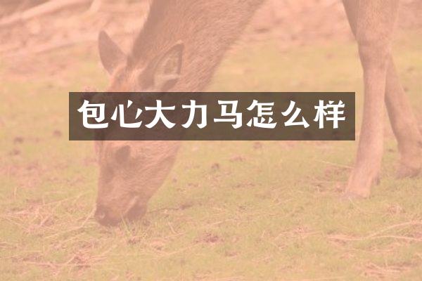 包心大力马怎么样