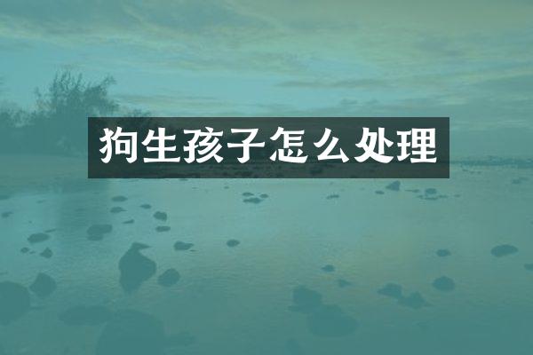 狗生孩子怎么处理