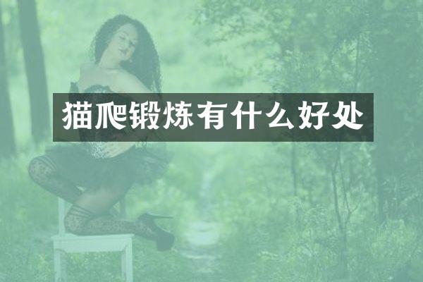 猫爬锻炼有什么好处