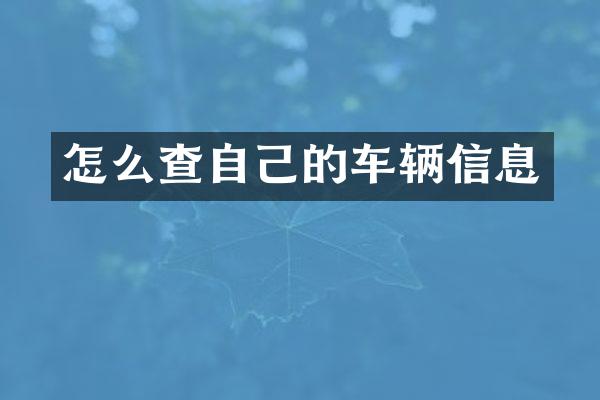 怎么查自己的车辆信息