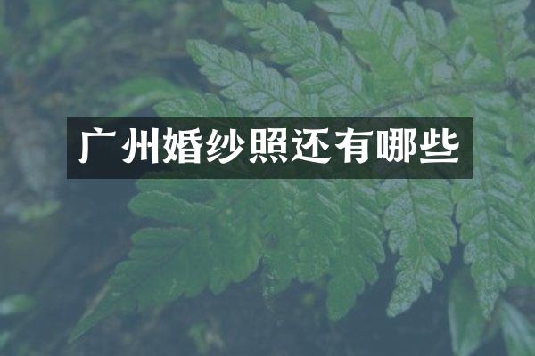 广州婚纱照还有哪些