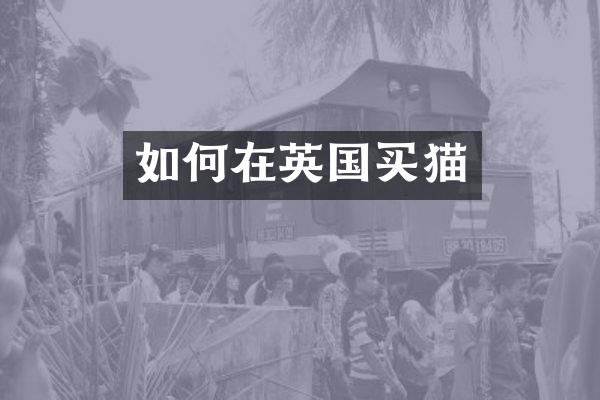 如何在英国买猫