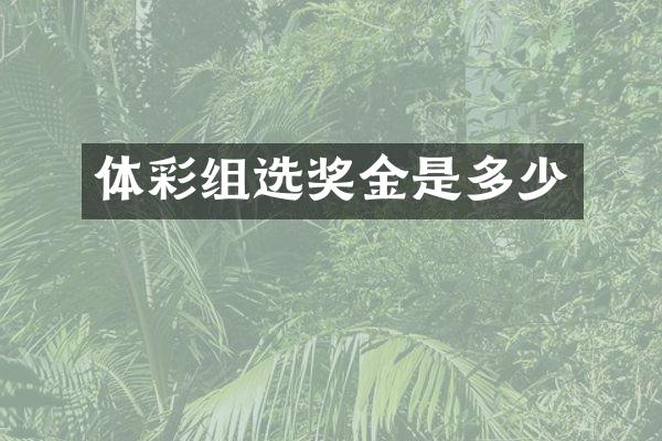 体彩组选奖金是多少