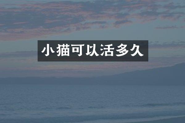 小猫可以活多久