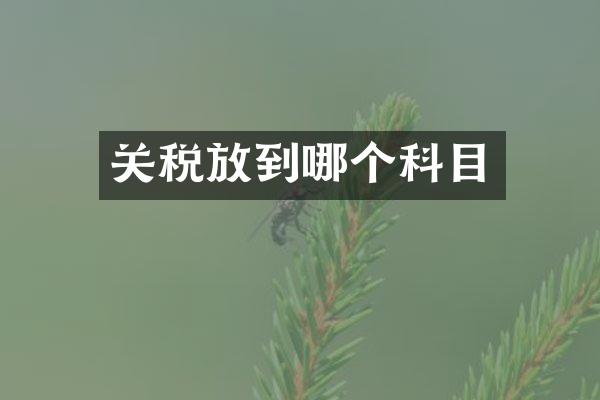 关税放到哪个科目