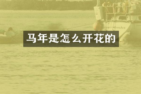 马年是怎么开花的