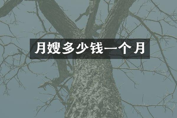 月嫂多少钱一个月