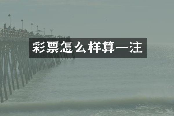 彩票怎么样算一注