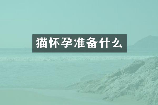 猫怀孕准备什么