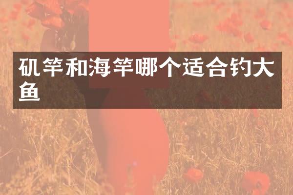 矶竿和海竿哪个适合钓大鱼