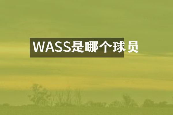 WASS是哪个球员