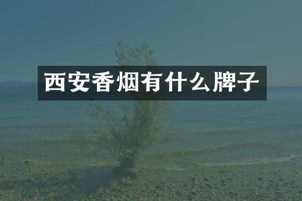 西安有什么牌子