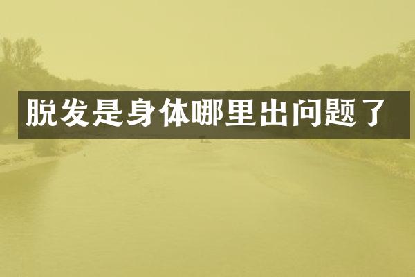 脱发是身体哪里出问题了