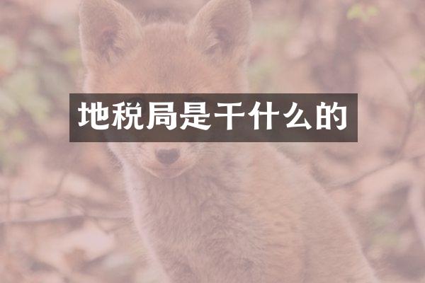 地税局是干什么的