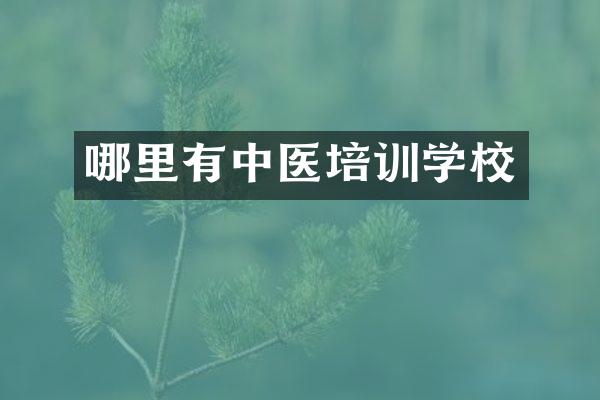 哪里有中医培训学校