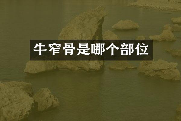牛窄骨是哪个部位