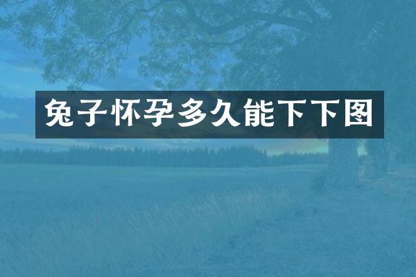 兔子怀孕多久能下下图