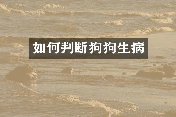 如何判断狗狗生病