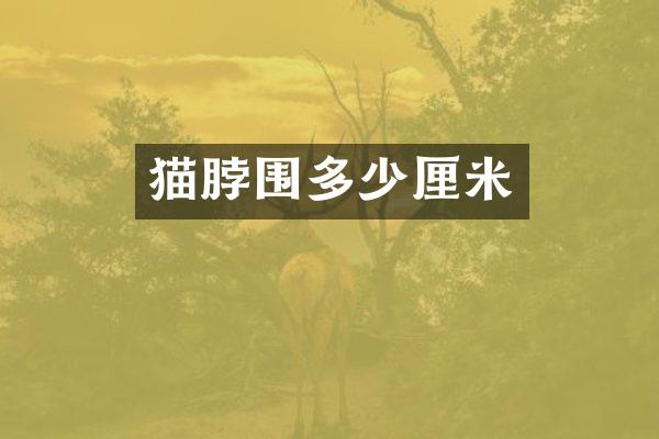猫脖围多少厘米