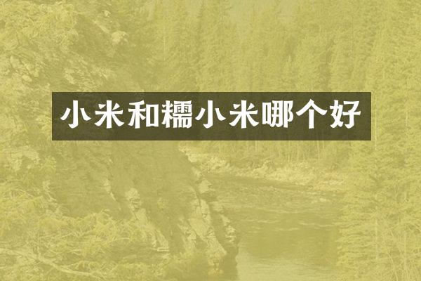 小米和糯小米哪个好