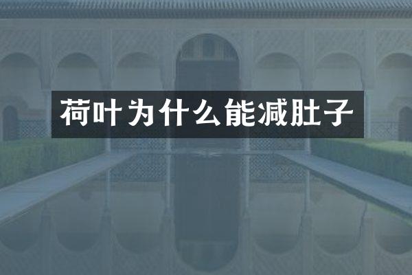 荷叶为什么能减肚子