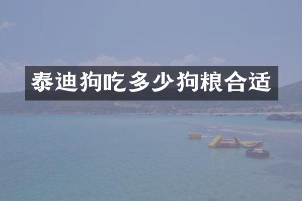 泰迪狗吃多少狗粮合适