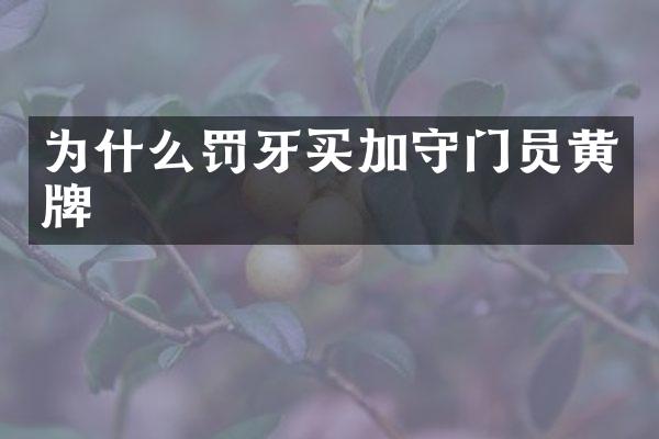 为什么罚牙买加守门员黄牌