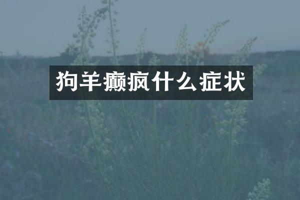 狗羊癫疯什么症状