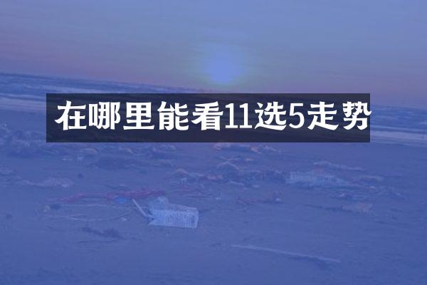 在哪里能看11选5走势