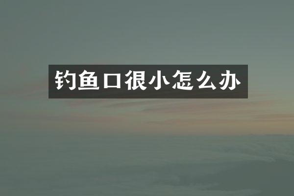 钓鱼口很小怎么办
