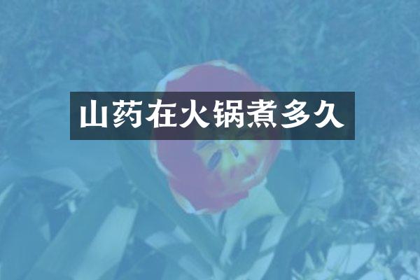 山药在火锅煮多久