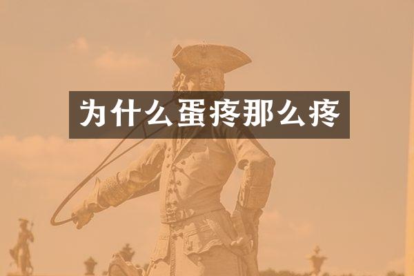 为什么蛋疼那么疼
