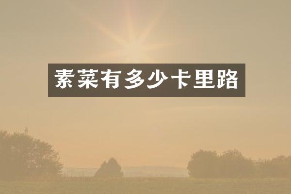 素菜有多少卡里路
